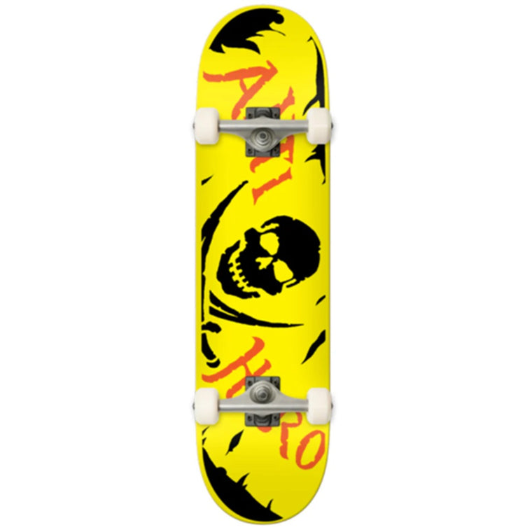 Anti Hero Jolly Roger Large 8