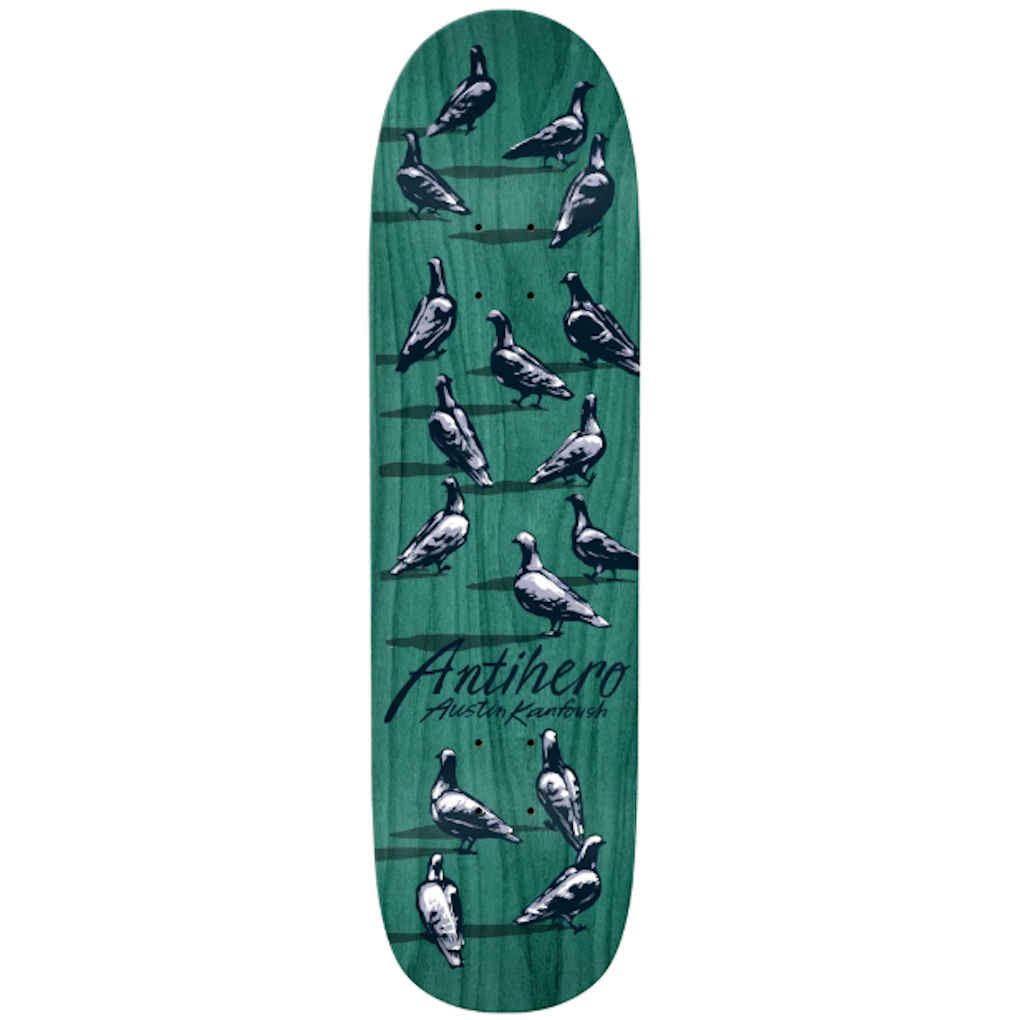 Anti Hero Kanfoush Dawn Of The Pigeon 8.55"