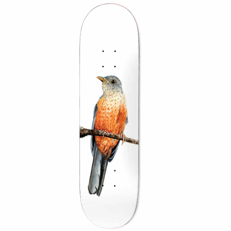 Deathwish Facchini Sabia-Laranjeira 8.125