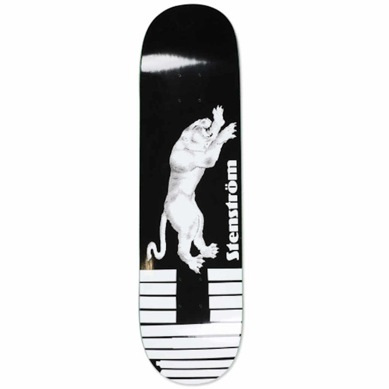 Polar Stenstrom Tape & Panther 8.375