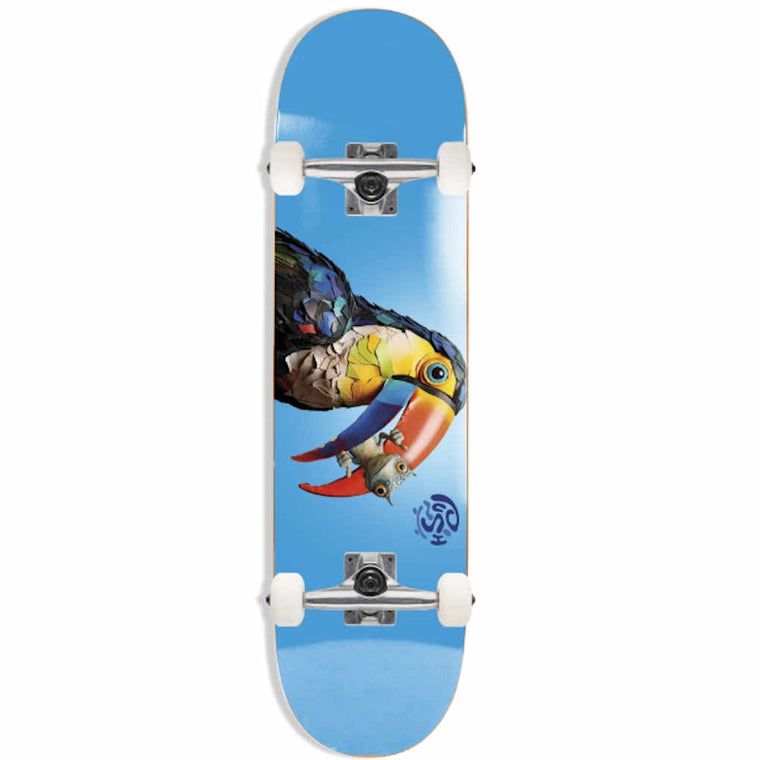 Push Toucan Fade Large 8
