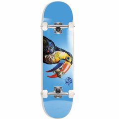 Push Toucan Fade Large 8"